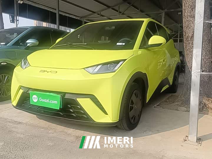 BYD Seagull Vitality Edition - ავტომობილი ჩინეთიდან