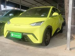 BYD Seagull Vitality Edition - ფოტო 1