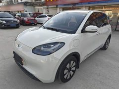 Wuling Binguo 333km Joy Edition - ფოტო 1