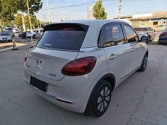 Wuling Binguo 333km Joy Edition - ფოტო 6