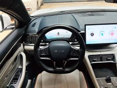 BYD Song Plus New Energy DM-i 110km Flagship Honors Edition - ფოტო 15