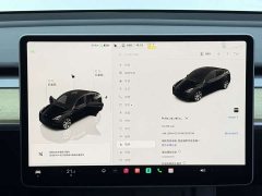 Tesla Model Y 2022 Facelift Rear-Wheel Drive - ფოტო 11