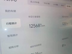 Li Auto L9 2022 Max - ფოტო 8