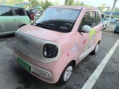 FAW Besturn Xiaoma 222km Dynamic Edition - ფოტო 1