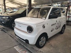 Geely Panda Mini 200km Endurance Edition - ფოტო 1