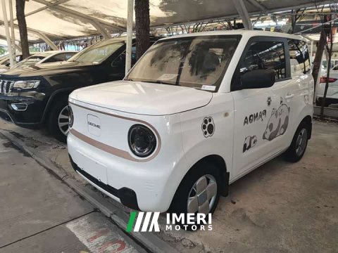 2024 Geely Panda Mini 200km Endurance Edition - ავტომობილი ჩინეთიდან