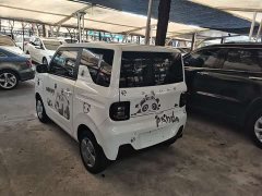 Geely Panda Mini 200km Endurance Edition - ფოტო 6