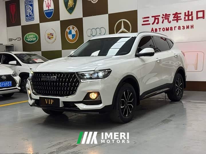Haval H6 National Trend Edition 1.5T Automatic Urban Version - ავტომობილი ჩინეთიდან