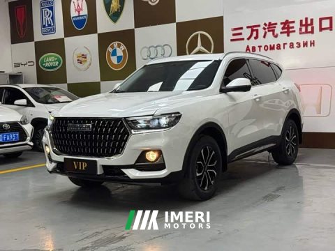 2023 Haval H6 National Trend Edition 1.5T Automatic Urban Version - ავტომობილი ჩინეთიდან