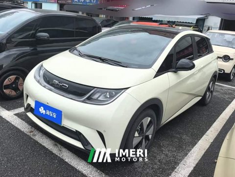 2023 BYD Dolphin 420km Fashion Edition - ავტომობილი ჩინეთიდან