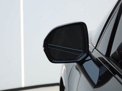 Zeekr 009 2024 Seven-Seat Aisle Version AWD 108kWh - ფოტო 10
