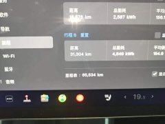 Tesla Model Y Rear-Wheel Drive - ფოტო 11