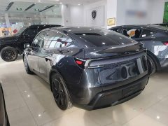 Tesla Model Y Rear-Wheel Drive - ფოტო 4