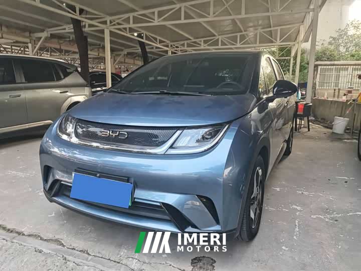 BYD Dolphin Glory Edition 420km Freedom Version - ავტომობილი ჩინეთიდან