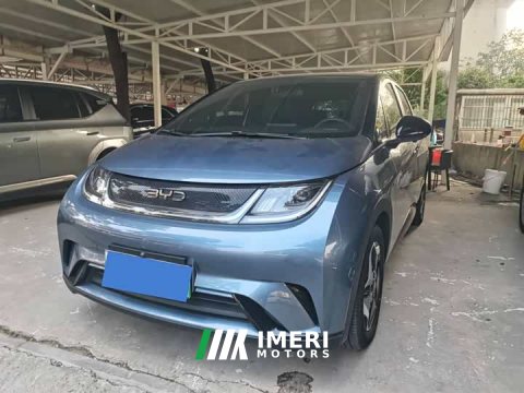 2024 BYD Dolphin Glory Edition 420km Freedom Version - ავტომობილი ჩინეთიდან