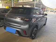 BYD Dolphin Glory Edition 420km Freedom Version - ფოტო 7