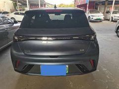 BYD Dolphin Glory Edition 420km Freedom Version - ფოტო 8