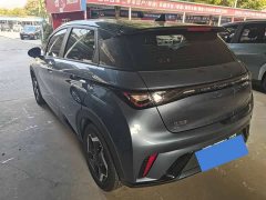 BYD Dolphin Glory Edition 420km Freedom Version - ფოტო 9