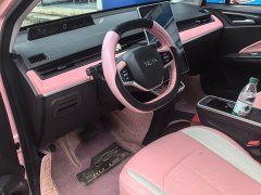 Neta V Tide 400 Lite Pink Custom Edition - ფოტო 4