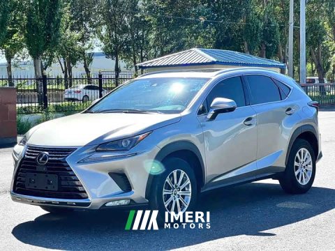 2021 Lexus NX 200 AWD Sharp Luxury Edition National VI - car from China