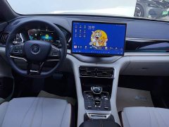 BYD Song Plus New Energy 2021 DM-i 110KM Flagship - ფოტო 12