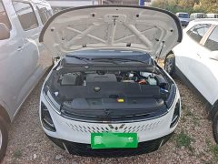Wuling Starlight 70km Smart Standard Edition - ფოტო 19