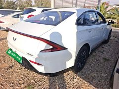 Wuling Starlight 70km Smart Standard Edition - ფოტო 6