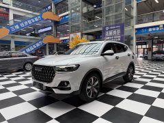 Haval H6 National Trend Edition 1.5T Automatic Champion Version - ფოტო 1