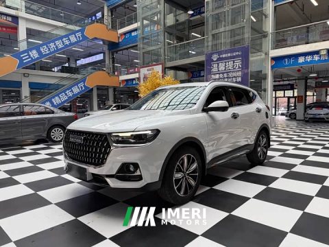 2023 Haval H6 National Trend Edition 1.5T Automatic Champion Version - ავტომობილი ჩინეთიდან