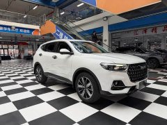 Haval H6 National Trend Edition 1.5T Automatic Champion Version - ფოტო 3