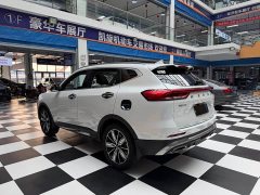 Haval H6 National Trend Edition 1.5T Automatic Champion Version - ფოტო 6