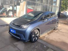 BYD Dolphin 2025 520km Knight Edition - ფოტო 1