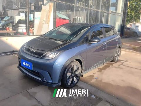 2024 BYD Dolphin 2025 520km Knight Edition - ავტომობილი ჩინეთიდან