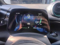 BYD Dolphin 2025 520km Knight Edition - ფოტო 14