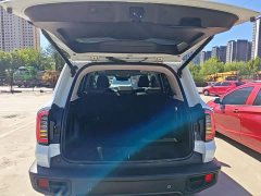 Great Wall Dachshund 1.5T DCT Two-Wheel Drive Malinois Edition - ფოტო 15