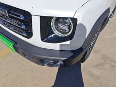 Great Wall Dachshund 1.5T DCT Two-Wheel Drive Malinois Edition - ფოტო 18