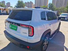 Great Wall Dachshund 1.5T DCT Two-Wheel Drive Malinois Edition - ფოტო 5