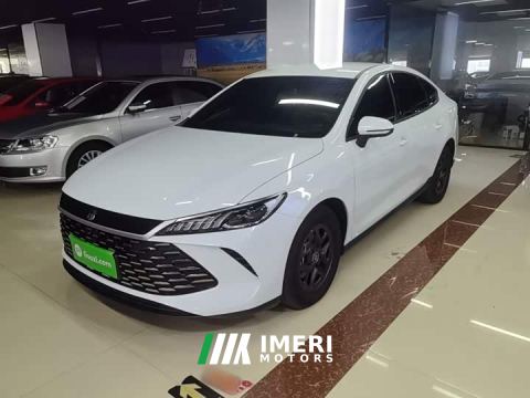 2025 BYD Qin PLUS DM-i Smart Drive Edition 55KM Leading