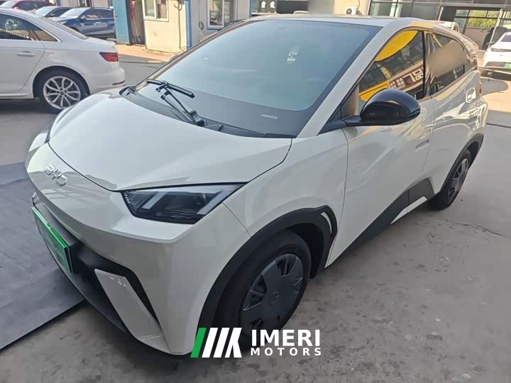 BYD Seagull 305km Vitality Edition - ავტომობილი ჩინეთიდან