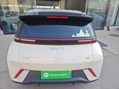 BYD Seagull 305km Vitality Edition - ფოტო 4