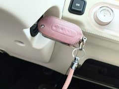 Wuling Hongguang MINIEV 2022 Macaron Premium Edition LFP - ფოტო 8