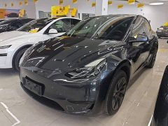 Tesla Model Y Rear-Wheel Drive - photo 1