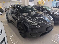 Tesla Model Y Rear-Wheel Drive - photo 3