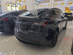 Tesla Model Y Rear-Wheel Drive - photo 6