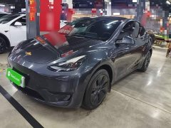 Tesla Model Y 2024 Rear-Wheel Drive - ფოტო 1