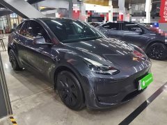 Tesla Model Y 2024 Rear-Wheel Drive - ფოტო 3