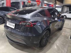 Tesla Model Y 2024 Rear-Wheel Drive - ფოტო 6