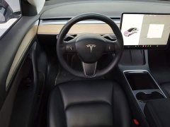 Tesla Model 3 Performance All-Wheel Drive - ფოტო 10