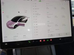 Tesla Model 3 Performance All-Wheel Drive - ფოტო 11