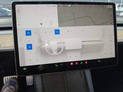 Tesla Model 3 Performance All-Wheel Drive - ფოტო 12